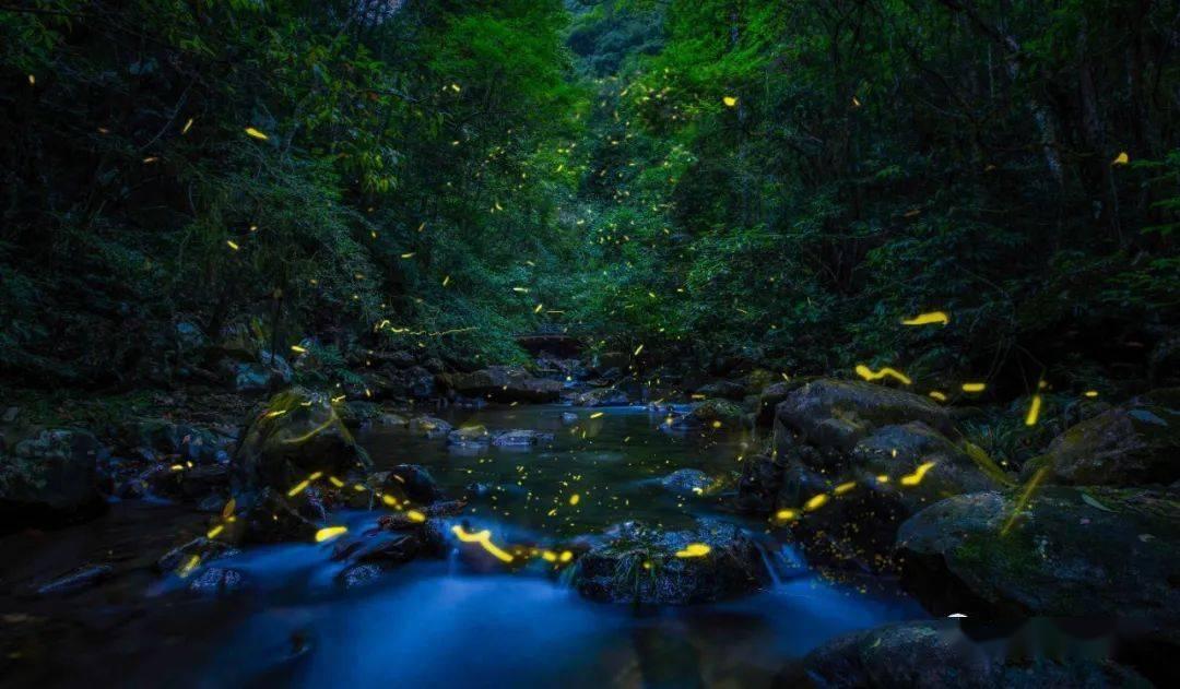 探秘“梦天”发射在即的文昌龙楼镇:民宿满房,现场观看发射是怎样的体验?,问答交流乐趣无穷